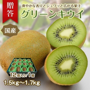 ɓE_̃LEC@p@12i2LTCYj 1331 ^ _ ʕ t[c _ƒ É ɓ