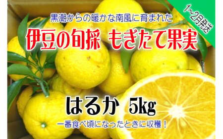 yɓ݂̂Ekzĉʎ@͂邩@5kg@A019 ^ ň_ӂڂ@k@t[c@É@ɓ