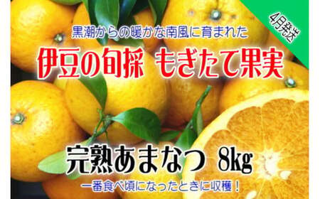 yɓ݂̂Ekzĉʎ@܂Ȃ@8kg@A023 ^ ň_ӂڂ@k@t[c@É@ɓ