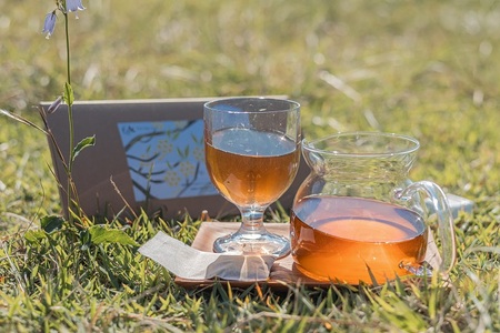 ɓF@Branch Y@Y@mJtFC 1398 ^ { kuromoji   É ɓ