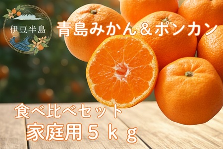 東伊豆・青島みかん&ぽんかん 食べ比べセット 5kg以上(サイズ混玉) 1402 / 佐藤農園 果物 フルーツ 農家直送 静岡県 東伊豆町