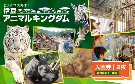 伊豆アニマルキングダム 入園券 2枚 A003 ／ 動物園 チケット 招待券 静岡県 東伊豆町