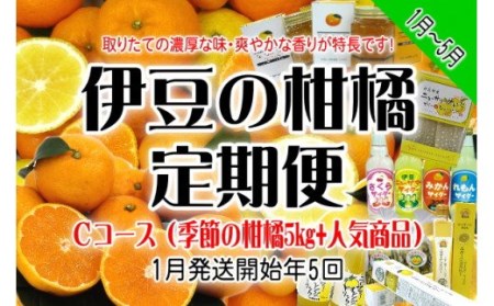 東伊豆産 伊豆の柑橘 定期便 Cコース E014/収穫体験農園ふたつぼり はるか 伊予柑 オレンジ 甘夏 みかん 静岡県 東伊豆町