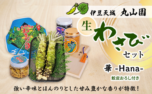 伊豆天城 丸山園 わさびセット 華 セット 詰め合わせ わさび 山葵 ワサビ 生わさび おつまみ つまみ みそ 味噌 漬け物 漬物