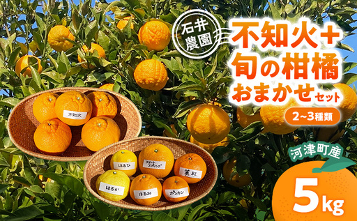 不知火 + 旬の柑橘おまかせセット 2〜3種類 5kg みかん ミカン セット 旬の果物 フルーツ 果実 はるか はるひ スイートスプリング ポンカン 青島 はるみ 麗紅 不知火 河津町 静岡県