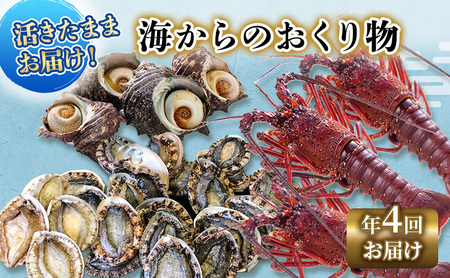 【アワビについて注意事項あり】伊勢海老 アワビ サザエ 定期便 年4回 海からのお届け物 伊勢エビ 3～8匹 さざえ 4～15個 あわび 3～5枚 伊勢えび 海老 エビ えび 鮑 貝 魚介 魚介類 海鮮 海鮮セット セット 詰め合わせ 冷蔵 刺身