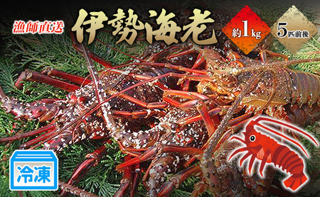 冷凍伊勢海老1kg 伊勢エビ 冷凍 漁師直送