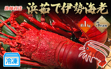 漁師直送 冷凍浜茹で伊勢海老1キロ 伊勢エビ 冷凍