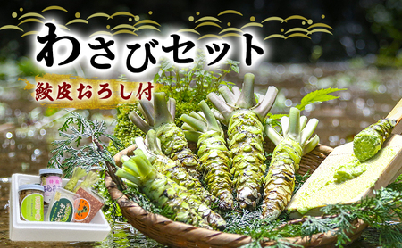 とれたて わさび セット 滝 鮫皮おろし付 生産者直送 生わさび 2本 手作り わさび漬け 天城の春 三杯酢漬け わさびみそ むらさき漬 醤油漬け 伊豆 ワサビ 茎 加工品 加工食品 薬味 鮫皮おろし 詰め合わせ 静岡