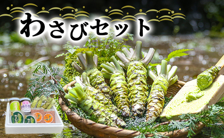とれたて わさび セット 池 伊豆わさび食品直送 生わさび 4本 手作り わさび漬け 天城の春 三杯酢漬け わさびみそ むらさき漬 醤油漬け 伊豆 ワサビ 茎 加工品 加工食品 薬味 詰め合わせ 静岡 調味料