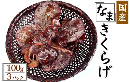 [季節限定]国産 生きくらげ 100g×3パック [ きくらげ きくらげ きくらげ きくらげ きくらげ ]