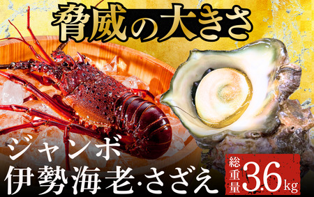 ジャンボ伊勢海老・ジャンボざざえセット[B]　【 伊勢海老 さざえ 】