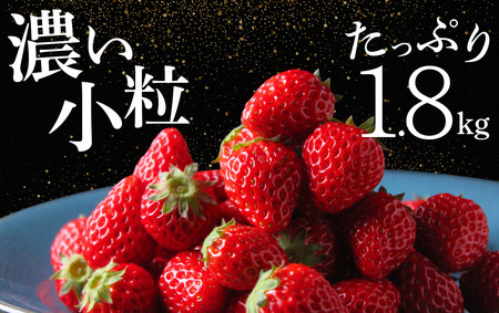 大容量 小粒いちご [ いちご ]