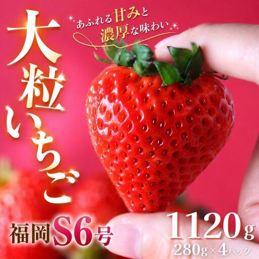 いちご[2027年発送]福岡S6号 4パック×280g 完熟いちご