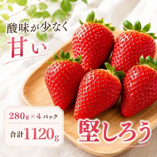 いちご[2027年発送]堅しろう 4パック×280g 完熟いちご