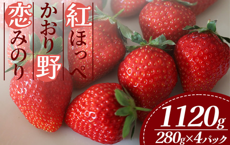 [2026年出荷分]特別賞受賞!ご自宅用いちごBabyBerryFarm 280g 4パック [いちご イチゴ 苺 紅ほっぺ フルーツ 静岡県産 ふるさと納税 国産 産地直送]