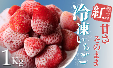 冷凍イチゴ１kg（2020年第31回静岡県いちご果実品評会入賞）