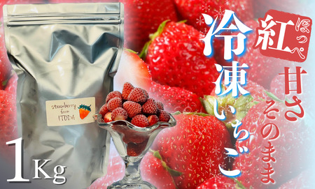 地元JA品評会金賞受賞　冷凍イチゴ