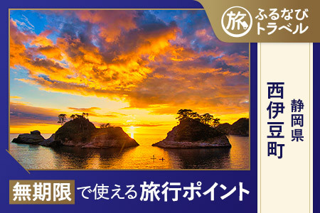 [旅行支援・宿泊無期限]旅行ポイント西伊豆町ふるなびトラベルポイント