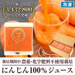 人参100%の無添加にんじんジュース(100cc×30パック)栽培期間中農薬化学肥料不使用のニンジン_人参ジュース ニンジンジュース ジュース 飲料 野菜ジュース 100% ストレート 国産 無添加 飲み物 冷凍_【配送不可地域：離島】【1228371】