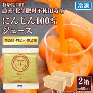 人参100%の無添加にんじんジュース 2箱(合計60パック) 栽培期間中農薬化学肥料不使用のニンジン【配送不可地域：離島】【1624535】