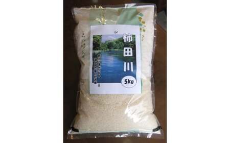 清水町産 あいちの香り 【白米】 ５キロ 【米 5kg お米 コメ こめ 国産 すぐ届く】