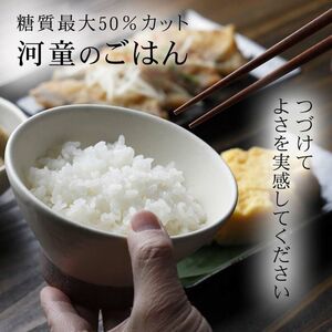 ゼンライス 60g × 5袋 伊豆河童 こんにゃく米 低糖質米 低糖質 こんにゃく ゼンライス 健康食品 ごはん カット カロリーカット 置き換え ダイエット 糖質制限 小分け 蒟蒻 グルテンフリー マンナン 脂質