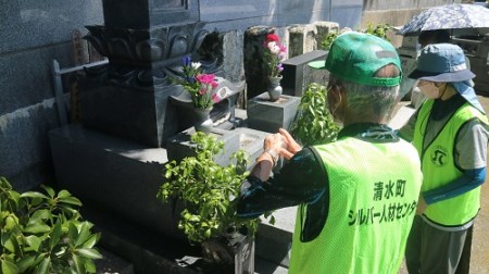 墓地清掃・墓石清掃・お墓参り代行〔献花・お線香〕（年２回）