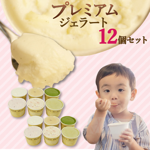 【先行受付5月GW頃から発送】プレミアム ジェラート 12個 セット ジェラート