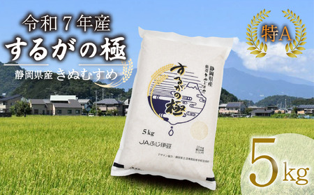 令和7年産 新米 するがの極 きぬむすめ 5kg 特A 米 こめ お米