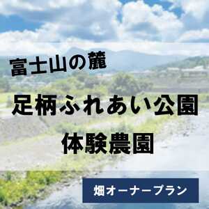 3AD2足柄ふれあい公園 体験農園 畑オーナープラン(12か月)