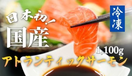 E39【寄附翌月第4金曜発送】日本初！今話題の国産アトランティックサーモン「FUJI ATLANTIC SALMON」【冷凍】1,100ｇ