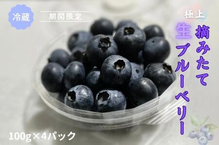 1B45極上摘みたてブルーベリー 100g×4パック[期間限定]