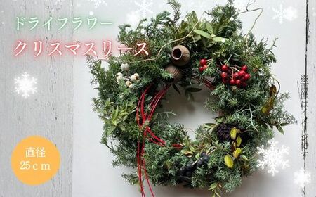 2G15ドライフラワー クリスマスリース