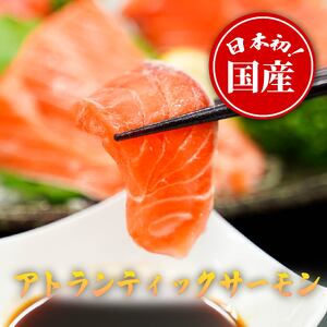 1B6[日本初:完全陸上養殖]「 フジサクラサーモン 」[ 生 ・冷蔵]800g