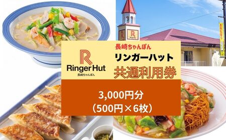 B54GA K[nbg O[v  p@3000~i500~×6j