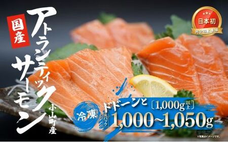 2B10小山町産アトランティックサーモン(4パック)