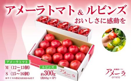 トマト ミニトマト アメーラ&ルビンズ5P