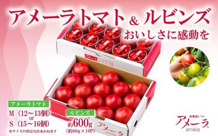 トマト ミニトマト アメーラ＆ルビンズ10P（1P約60g）