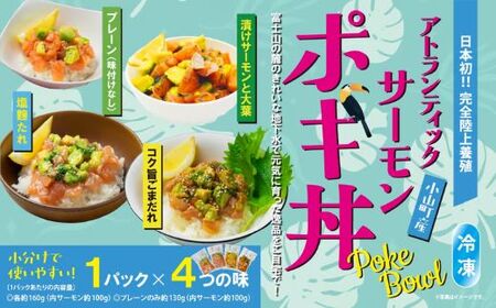 ポキ丼 サーモン 冷凍 食べ比べ 約160g/約130g×1P×4種 サーモンポキ丼