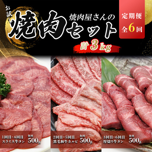 定期便 全6回 牛肉 お楽しみ定期便 計3kg