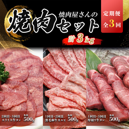 定期便 全3回 牛肉 焼肉セット 計3kg