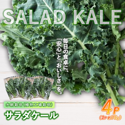 [無農薬]サラダケール 300g(約75g×4P)ケール