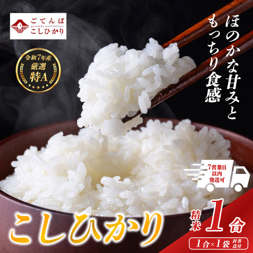 コシヒカリ 1合 令和7年産 精米 コシヒカリ