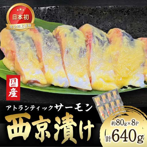 西京漬け 8P 国産サーモン西京漬け