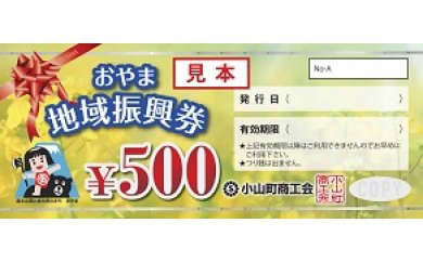 ３Ａ－４６　おやま地域振興券（５００円×８枚）