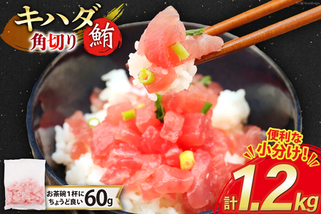 }O VR Ln_}O p؂ 60g 20pbN v1.2kg Ⓚ  [gCY É gc 22424416-a] ܂  maguro CN CN