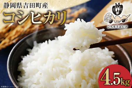yԌ蔭z  ߘa7N RVqJ 4.5kg [y É gc 22424520]