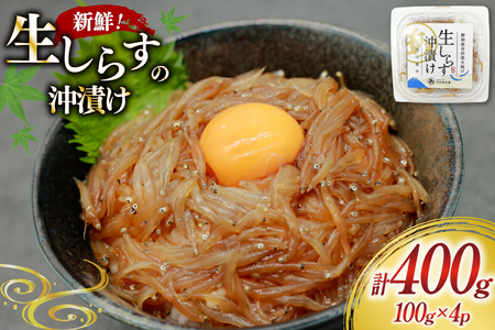 炷Ђ 100g 4pbN v400g [}Y É gc 22424525-c] 炷 VX Ђ 炷 VX  CN x͘pY