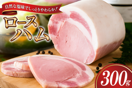 yO!H[{H`z [Xn ubN 300g ×1 [gcnH É gc 22424654] Yn ͂ ؓ   [Xn Xe[L Mtg  Ε H ① H nX